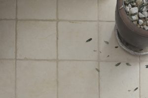 la perla tumbled stone