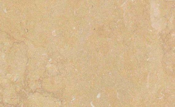 לוחות חלילה TLC