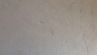 Antique Crema Bianca stone