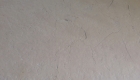 Antique Crema Bianca stone